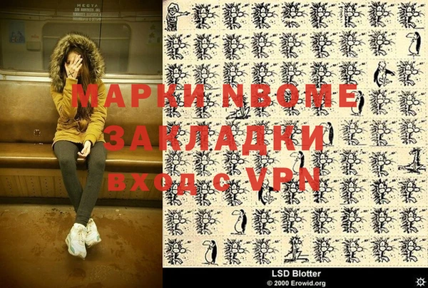 бошки Елабуга