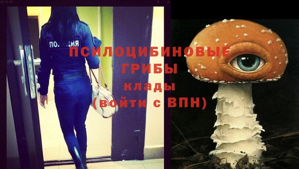 бошки Елабуга