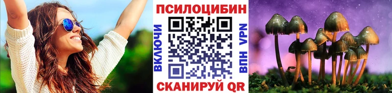 Купить  Аркадак  Галлюциногенные грибы прущие грибы 